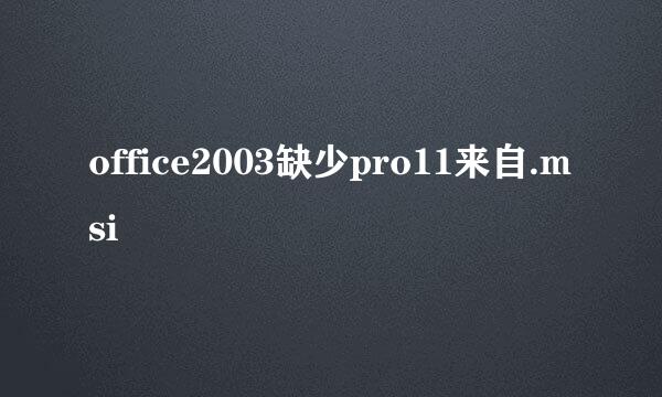 office2003缺少pro11来自.msi