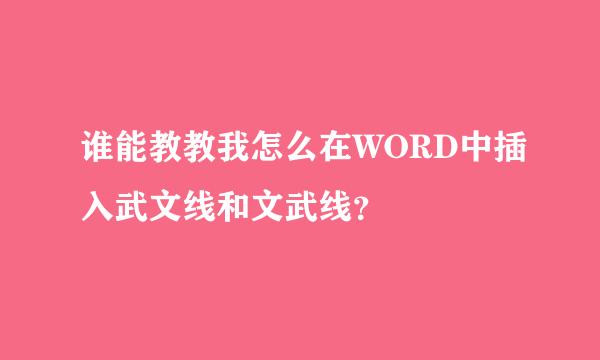 谁能教教我怎么在WORD中插入武文线和文武线？