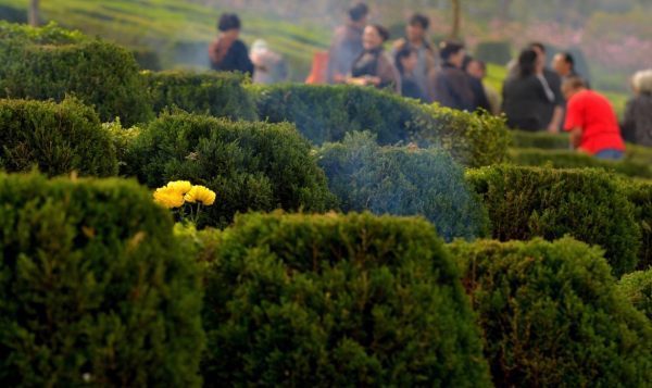 清明节扫墓祭奠词