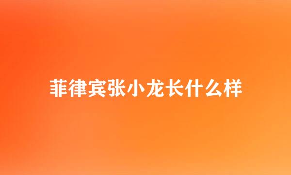 菲律宾张小龙长什么样