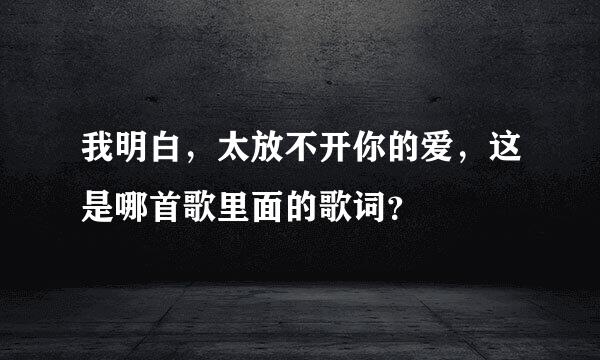 我明白，太放不开你的爱，这是哪首歌里面的歌词？