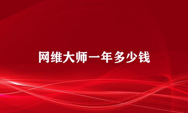 网维大师一年多少钱