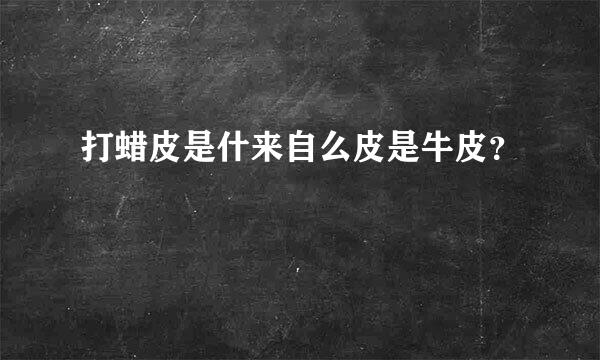 打蜡皮是什来自么皮是牛皮？