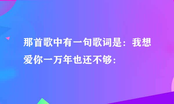 那首歌中有一句歌词是：我想爱你一万年也还不够：