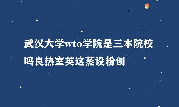 武汉大学wto学院是三本院校吗良热室英这蒸设粉创