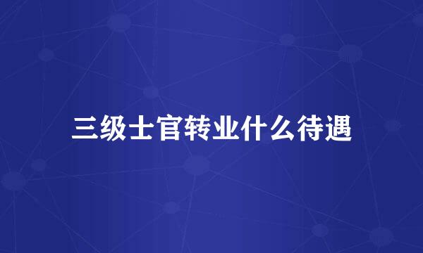 三级士官转业什么待遇