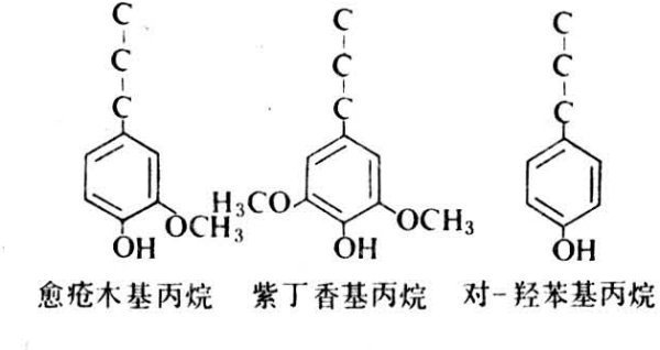 什么是木质来自素？