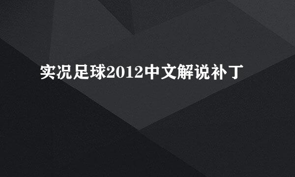 实况足球2012中文解说补丁