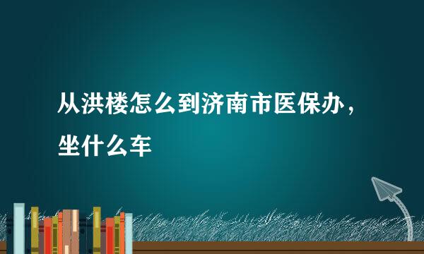 从洪楼怎么到济南市医保办，坐什么车