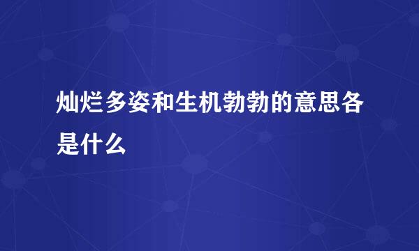 灿烂多姿和生机勃勃的意思各是什么