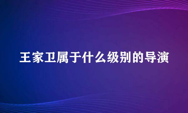 王家卫属于什么级别的导演