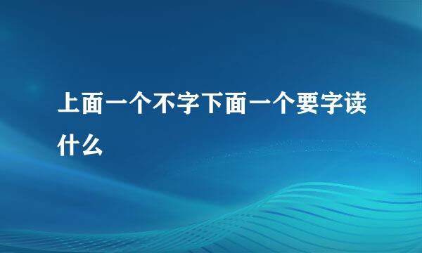 上面一个不字下面一个要字读什么