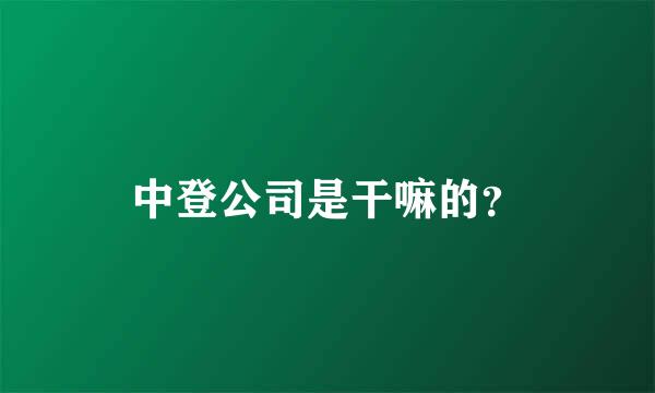 中登公司是干嘛的？