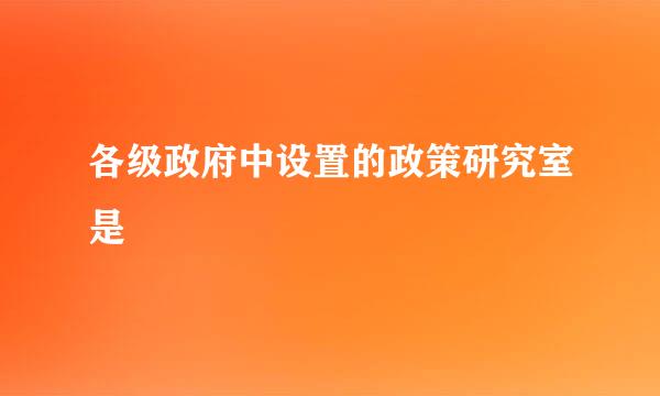 各级政府中设置的政策研究室是