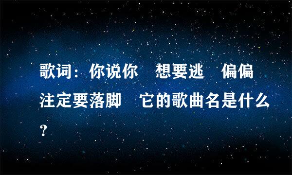 歌词：你说你 想要逃 偏偏注定要落脚 它的歌曲名是什么？