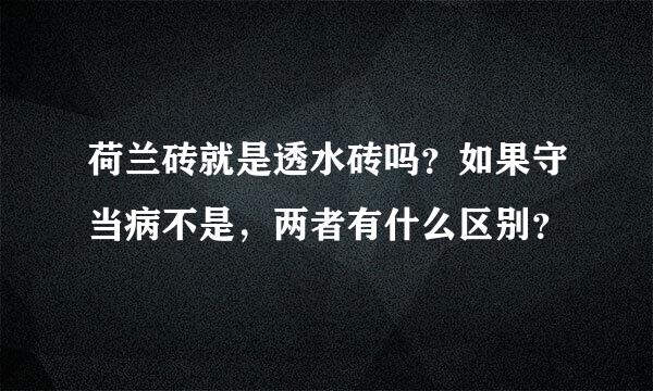 荷兰砖就是透水砖吗？如果守当病不是，两者有什么区别？