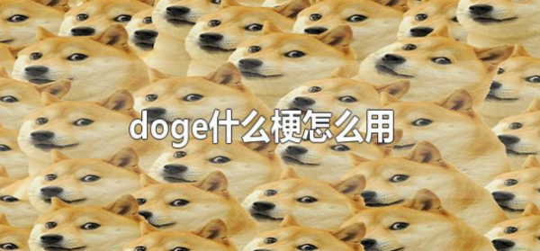 (doge)来自是什么梗?