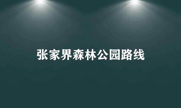 张家界森林公园路线