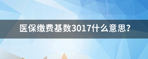 医保缴费基数3017什么意思？