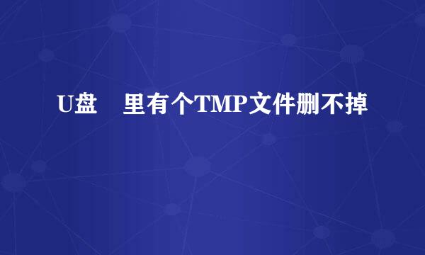 U盘 里有个TMP文件删不掉