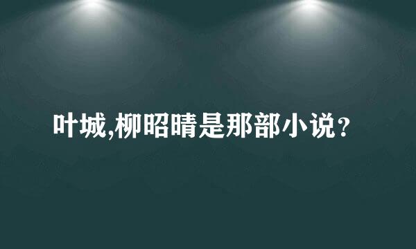 叶城,柳昭晴是那部小说？