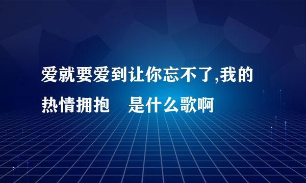 爱就要爱到让你忘不了,我的热情拥抱 是什么歌啊