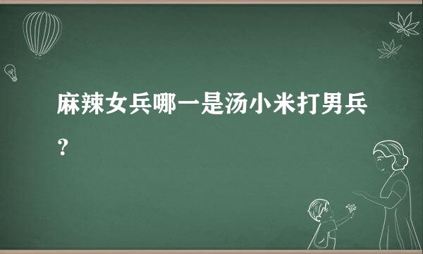 麻辣女兵哪一是汤小米打男兵？