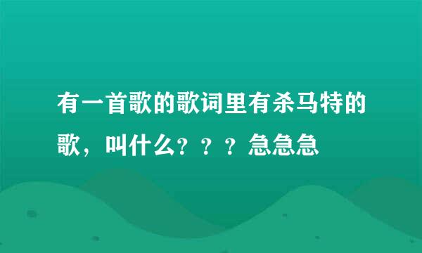 有一首歌的歌词里有杀马特的歌，叫什么？？？急急急