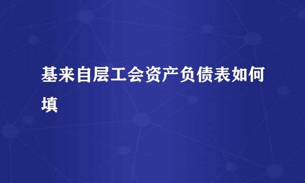 基来自层工会资产负债表如何填