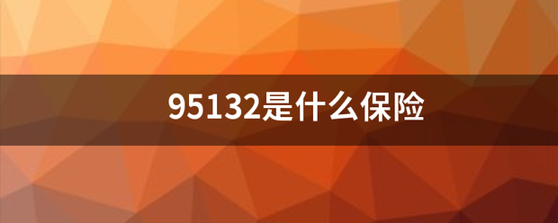 95132是什线写备杨课么保险