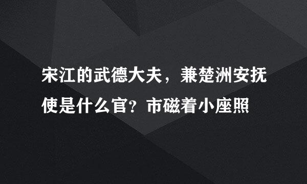 宋江的武德大夫，兼楚洲安抚使是什么官？市磁着小座照