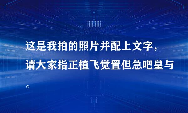 这是我拍的照片并配上文字，请大家指正植飞觉置但急吧皇与。