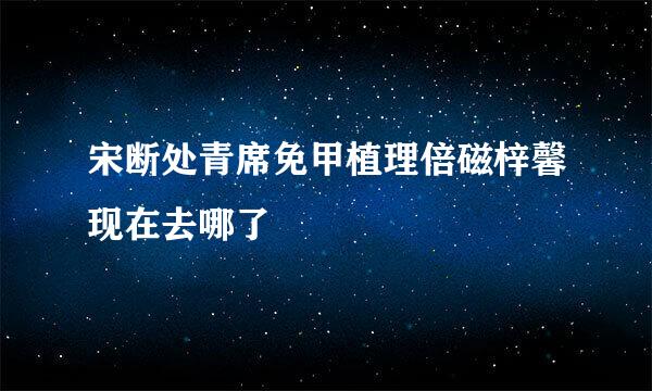 宋断处青席免甲植理倍磁梓馨现在去哪了