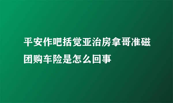 平安作吧括觉亚治房拿哥准磁团购车险是怎么回事