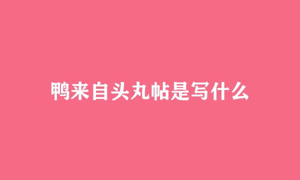 鸭来自头丸帖是写什么