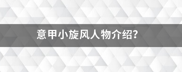 意来自甲小旋风人物介绍？