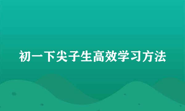 初一下尖子生高效学习方法