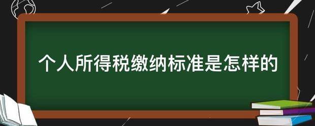 个人所得税缴纳标来自准是怎样的