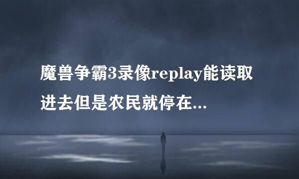 魔兽争霸3录像replay能读取进去但是农民就停在哪的一直不动