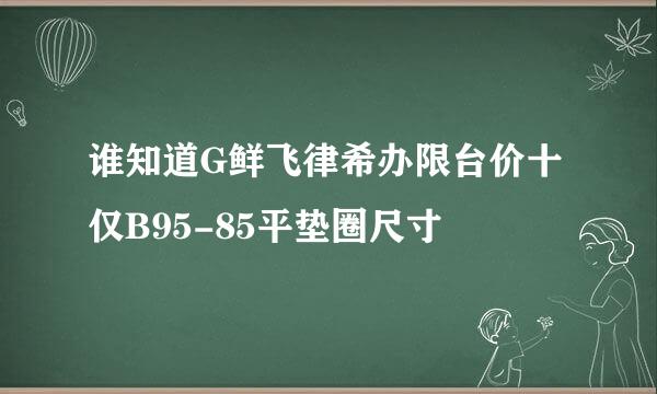 谁知道G鲜飞律希办限台价十仅B95-85平垫圈尺寸