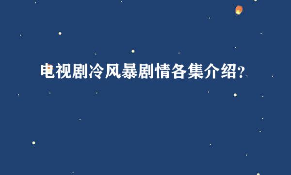 电视剧冷风暴剧情各集介绍？