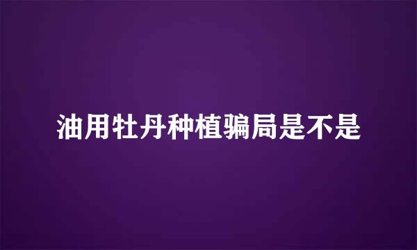 油用牡丹种植骗局是不是