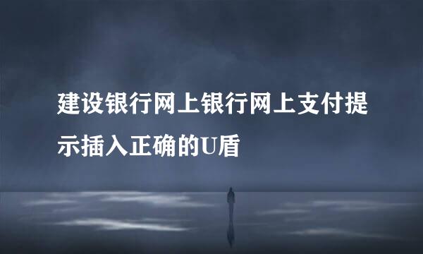 建设银行网上银行网上支付提示插入正确的U盾