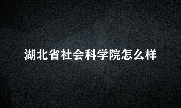 湖北省社会科学院怎么样