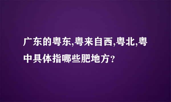 广东的粤东,粤来自西,粤北,粤中具体指哪些肥地方？