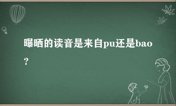 曝晒的读音是来自pu还是bao？