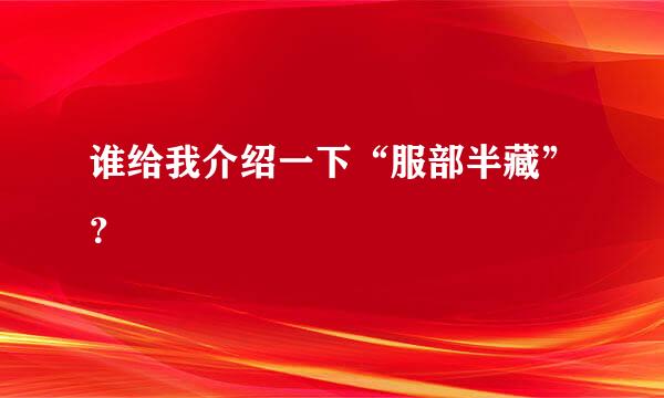 谁给我介绍一下“服部半藏”？