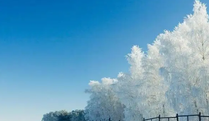 以雪为主题的标题有哪些？