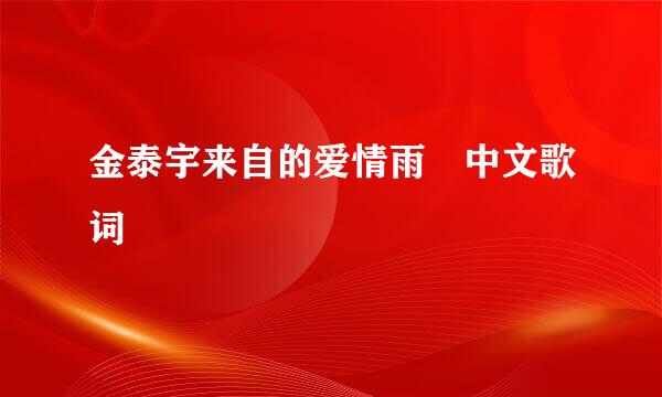 金泰宇来自的爱情雨 中文歌词