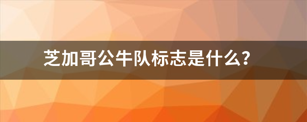 芝加哥公牛队标志是什么？